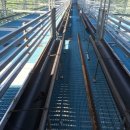 순창금산흑염소농장 이미지