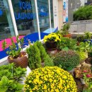 청계세탁 이미지