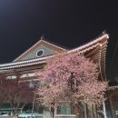 호텔얌 경주시청점 이미지