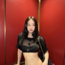 에코제니 이미지