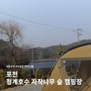 하늘가람관광펜션 | 포천 캠핑장 청계호수 자작나무 숲 캠핑장 AR2 차박존 벚꽃