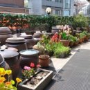 연대북문 우리집 이미지