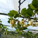 갈마농장 이미지