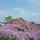 합천한의학박물관 이미지