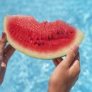 KC(케이시)푸드 이미지