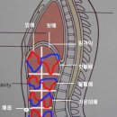 명상강좌 제1부 ; 호흡 제대로 알고 명상하기 이미지