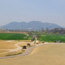 금호강4 이미지