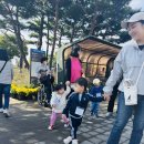 익산 천만송이 국화축제에 다녀왔어요🩷(+권우림부모님 김소윤어머님 이루희어머님 조담호 어머님) 이미지