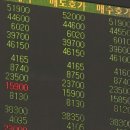 두올메드 이미지