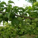 동은농장 이미지