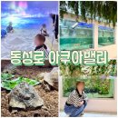 아쿠아 밸리 | [공지] 대구 동성로 아쿠아밸리 블루라운지 카페 후기 실내동물원 아쿠아리움