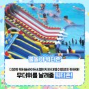 홀리몰리 티스토리