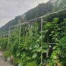 선리농장 이미지