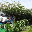 가좌지구대 이미지