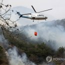 함평축구장 헤럴드경제