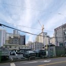 수영삼춘 이미지