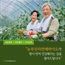 계룡농장 | 계룡 스마트팜(토마토/오이/포도/배추/사과/참외/호박), 수익을 키우는 새로운 길