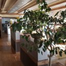 자생오리원 이미지