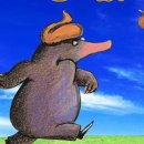 칠암도서관 공연장 이미지