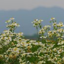 은혜커농장 이미지