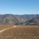 혜성부동산공인중개사사무소 이미지