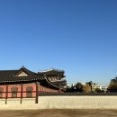 꼴목 경희대점 | 만 해 하늘 사진 최다 다다익선🍁🍁 + 경복궁 팁 + 와인 중독 + 고기 중독 + 외계인 1부 후기 + 드라마 추천