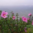 자굴산황토민박 이미지