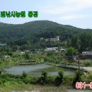 삽교천 낚시터 이미지