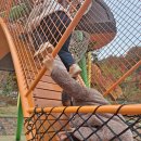 밤골어린이공원 놀이터 이미지