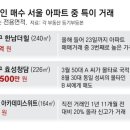 서울아카데미(외국인) 이미지