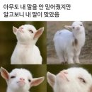 쿠앤크 이미지