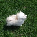 자하동길 18 이미지