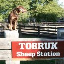 토부농장 이미지