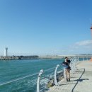 무창포해수욕장 이미지