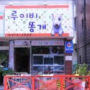 루이비똥 개 애견샵 이미지