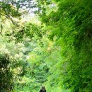 고요의계절 이미지