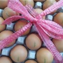 홍천농업고등학교 이미지