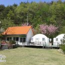 마음꽃하우스 민박 이미지