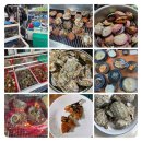 히미쎈장어,꼼장어 | 마산 어시장 물메기 장어 손질 꼼장어 장어 도매 소매 전국택배주문 주차하기 편해요 다산수산