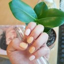 오동동070 | 마산창동네일/마산오동동네일/마산네일샵추천/헤브즈/일요일네일샵/일요일격주오픈/마산네일/창원네일/