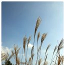 메이플하우스 펜션 이미지