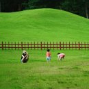 융건릉공영주차장 | 정조 덕후가 안내하는 융건릉 산책(코스/주차/운영)