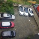 달구벌진도 이미지