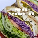 로샌 이미지