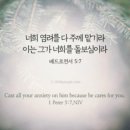 카페파스쿠찌 이미지