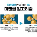 벨라에스테틱 - 동래구 금강공원로26번길 37 | 벨라에스테틱