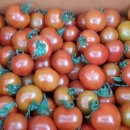 신원농장 이미지