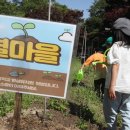 느티나무유치원 이미지