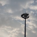 보경상조 | 선운사 꽃무릇, 붉은물결 꽃무릇속으로...가을여행, 고창여행, 선운사,꽃무릇,2019.9.29.