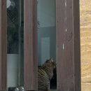 방배로25길 50 (1) 이미지